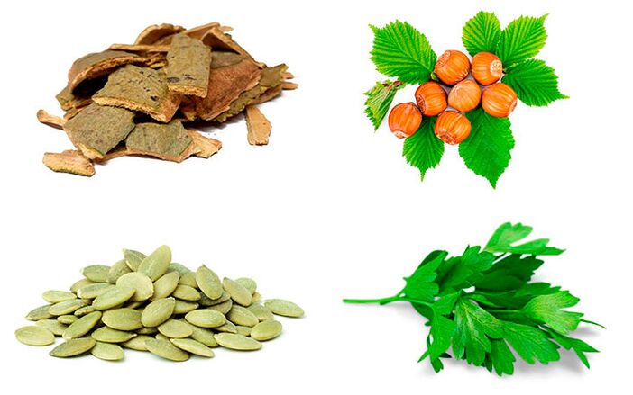Narodni lijekovi protiv prostatitisa - kora jasike, sjemenke bundeve, peršin i lješnjaci